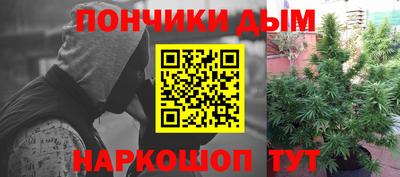 прущие грибы Краснокаменск