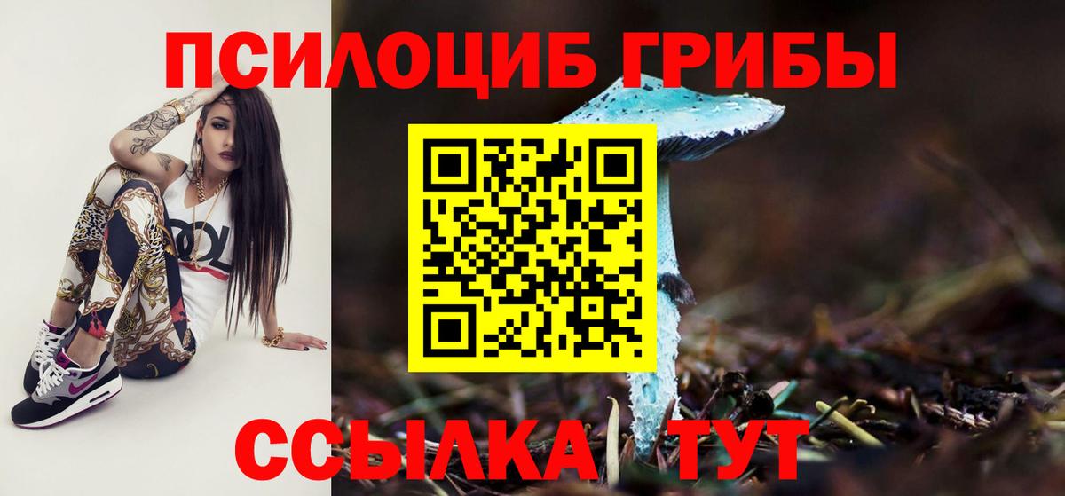 Псилоцибиновые грибы GOLDEN TEACHER  Вход с VPN  Калач-на-Дону 