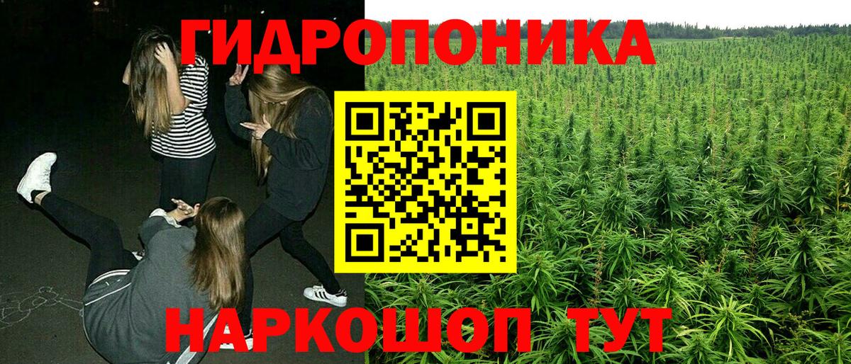 Каннабис Amnesia Калач-на-Дону